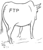 FTP in the Cloud logo